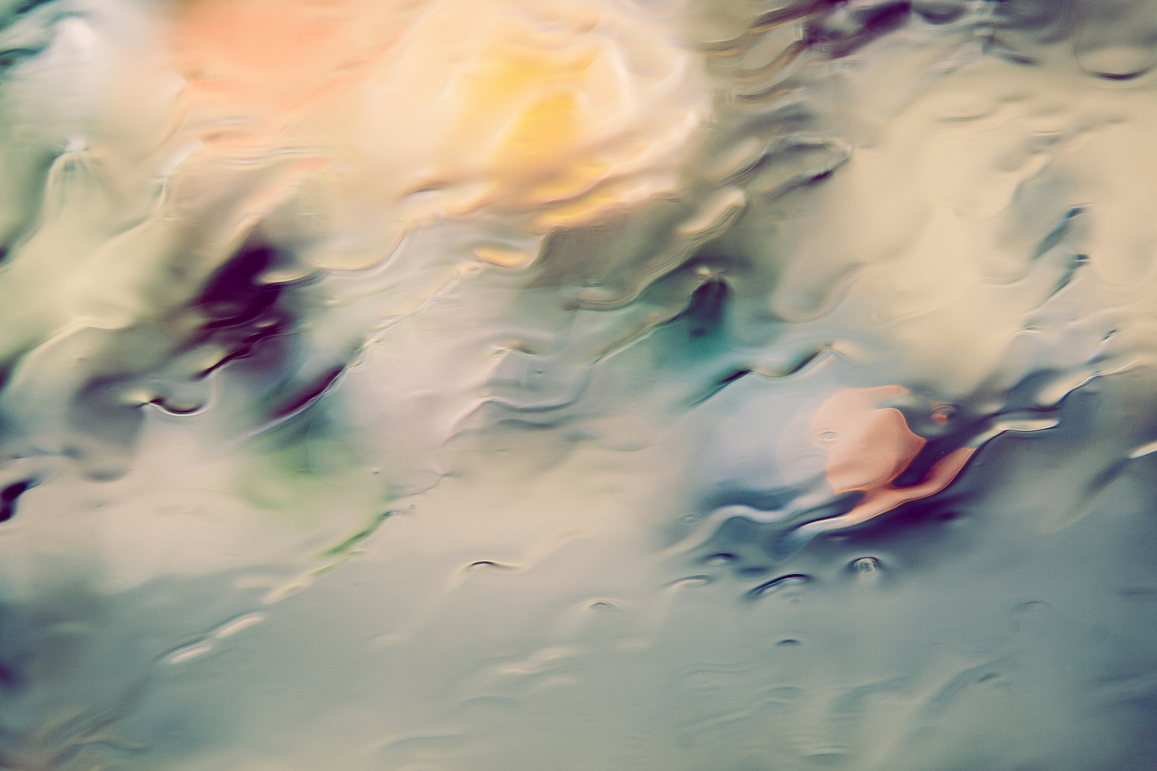 collection-banner-image