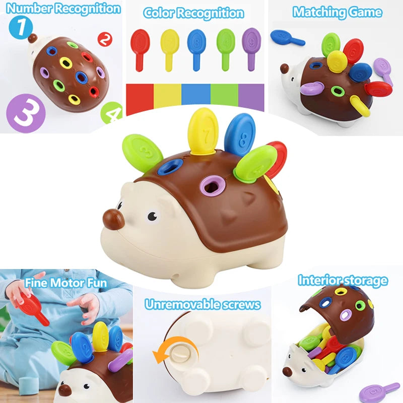 Sensory Counting Toy