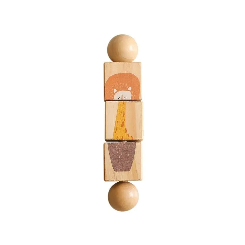 Rotating Puzzle toy